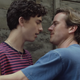 Luca Guadagnino still planning CMBYM sequel